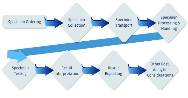 Figure 1. A process map showing key steps in the clinical diagnostic testing process. 