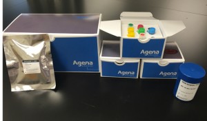 Agena Biosciences_LungFUSION_crop500